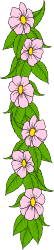 Pink Flowers and Green Leaves Clipart - Vibrant Borders for Visual Appeal