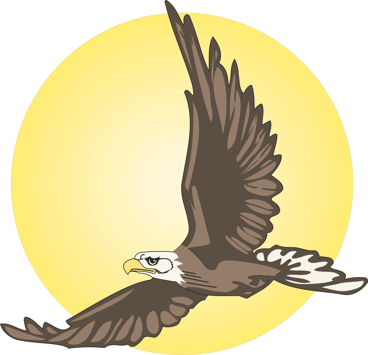 Eagle in Flight: Majestic Scene with Sun Behind - Clipart Collection