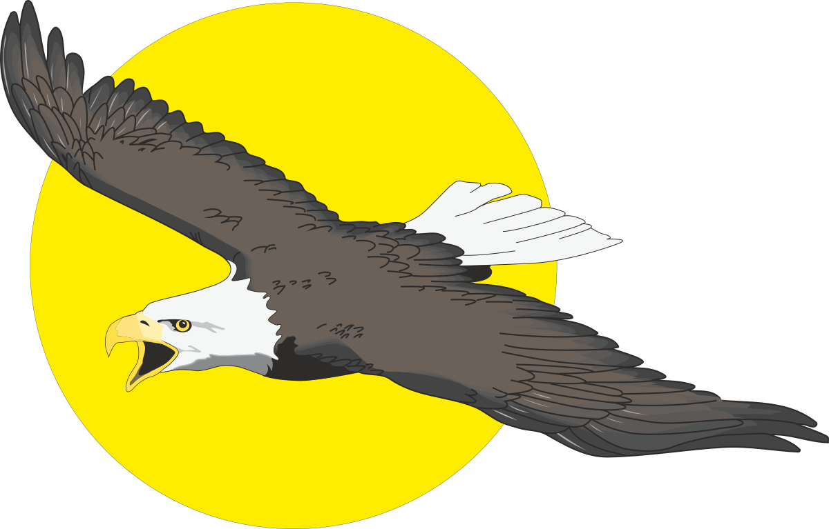Eagle Soaring in the Sky with Sun Backdrop Clipart