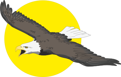 Eagle Soaring in the Sky with Sun Backdrop Clipart
