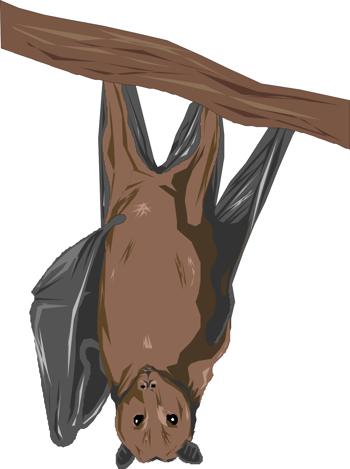 Bat Hanging Upside Down on a Branch - Nature Clipart