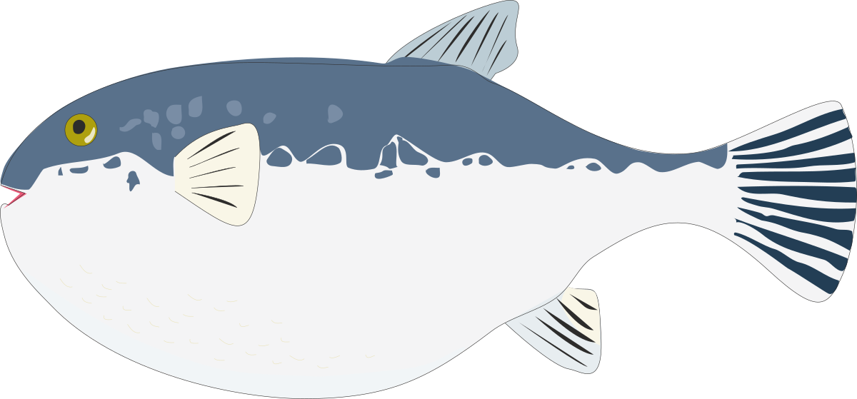 a fish with a yellow eye and a black body clip art png transparent Fish Clipart with Black Body and Striking Yellow Eye