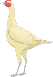 White Bird with Red Beak - Vibrant Clipart for Your Creative Projects