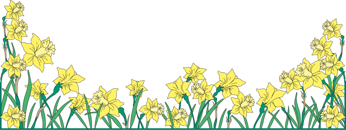 Vibrant Border Clipart with Daffodils and Garden Plants