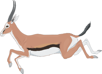 ANIMALS,WILD,GAZELLE clipart