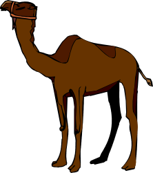 Camel Clipart with Long Neck - Unique Animal Illustrations