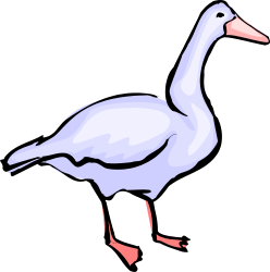 White Duck with Pink Beak Clipart