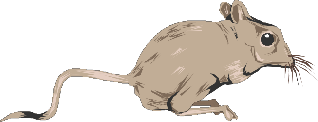 Mouse Clipart: Charming Long-Tailed Rodent Graphics