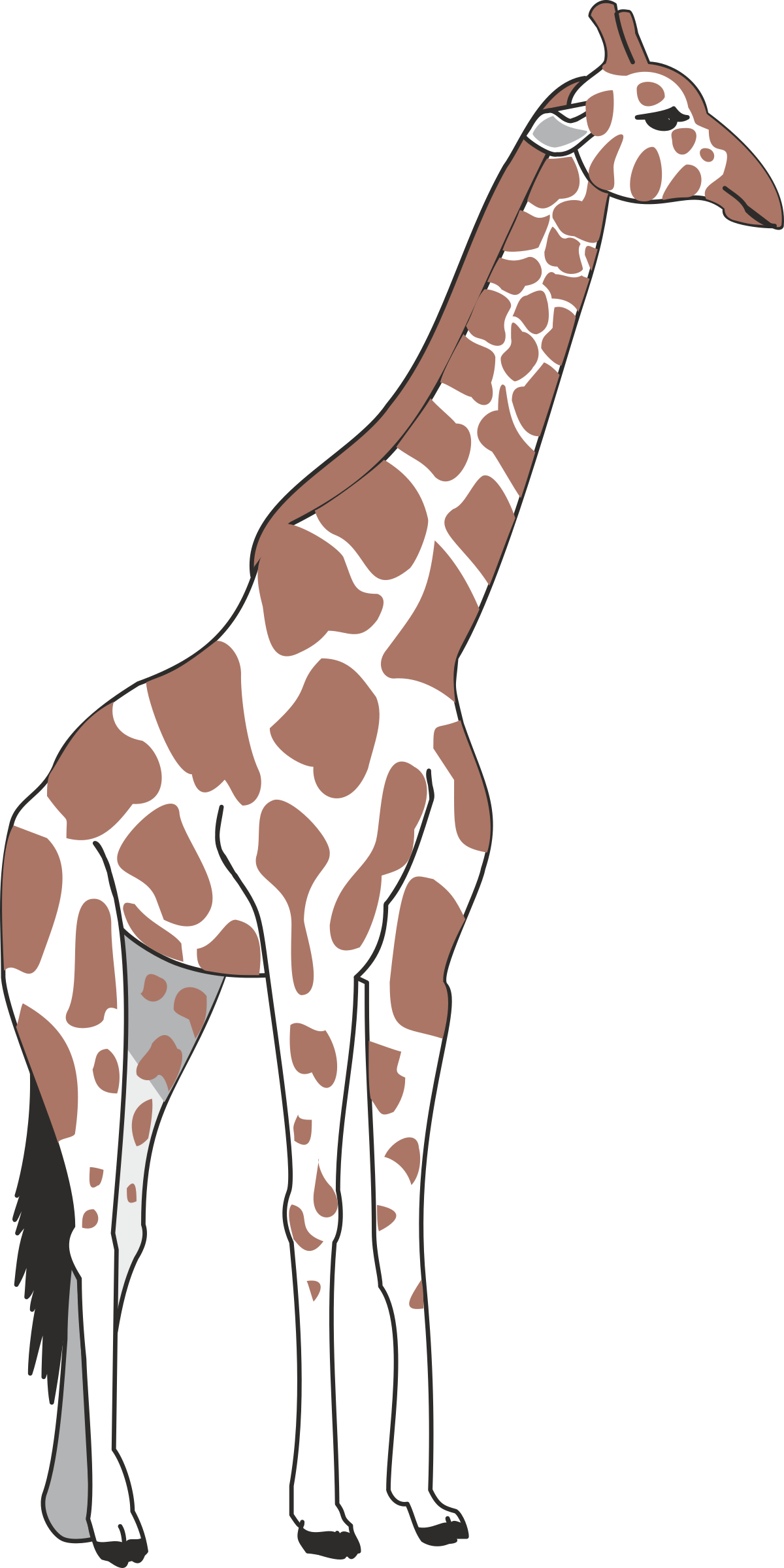 a gi gi gi gi gi gi gi gi gi gi gi gi gi gi gi gi gi gi gi gi gi gi gi gi gi gi gi clip art png transparent Gi Gi Gi Gi Gi Gi Gi Clipart Collection