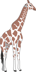 Gi Gi Gi Gi Gi Gi Gi Clipart Collection