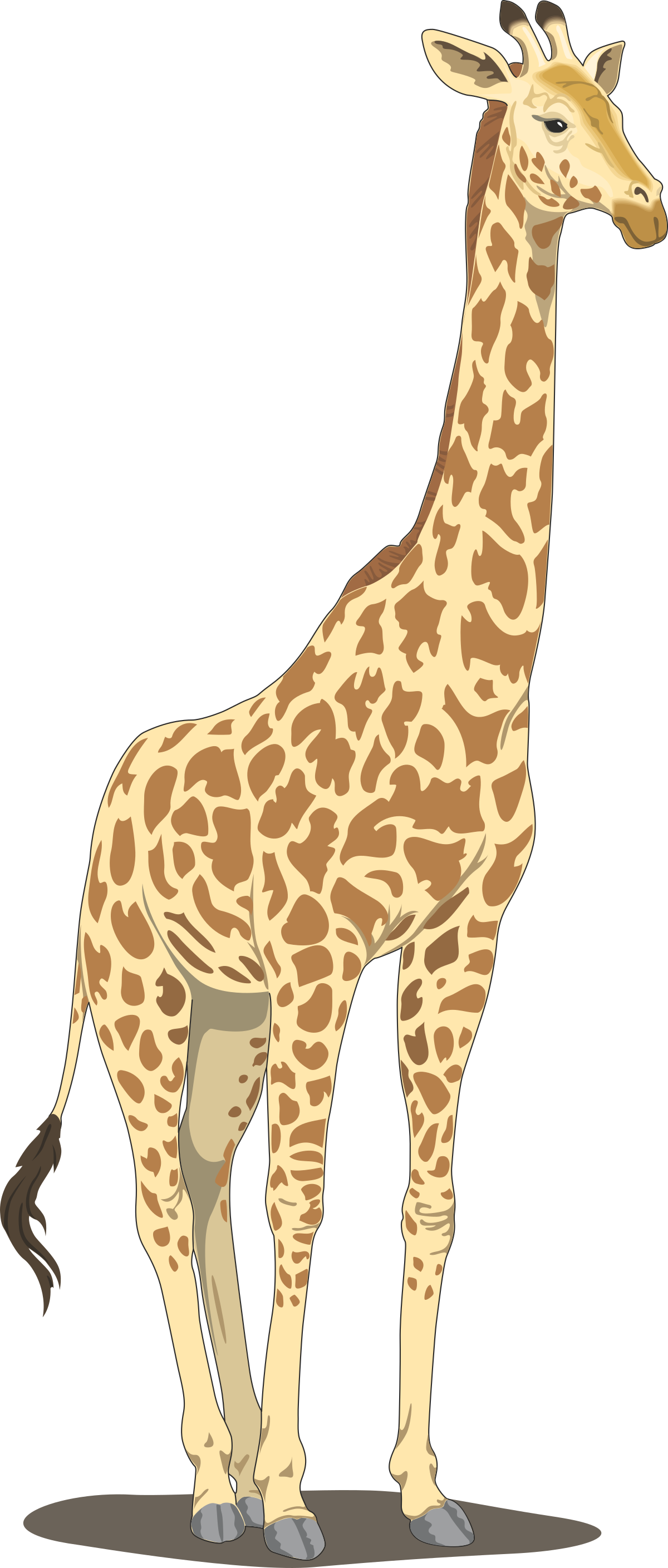 a gi gi gi gi gi gi gi gi gi gi gi gi gi gi gi gi gi gi gi gi gi gi gi gi gi gi gi clip art png transparent Unique Gi Clipart for Creative Projects