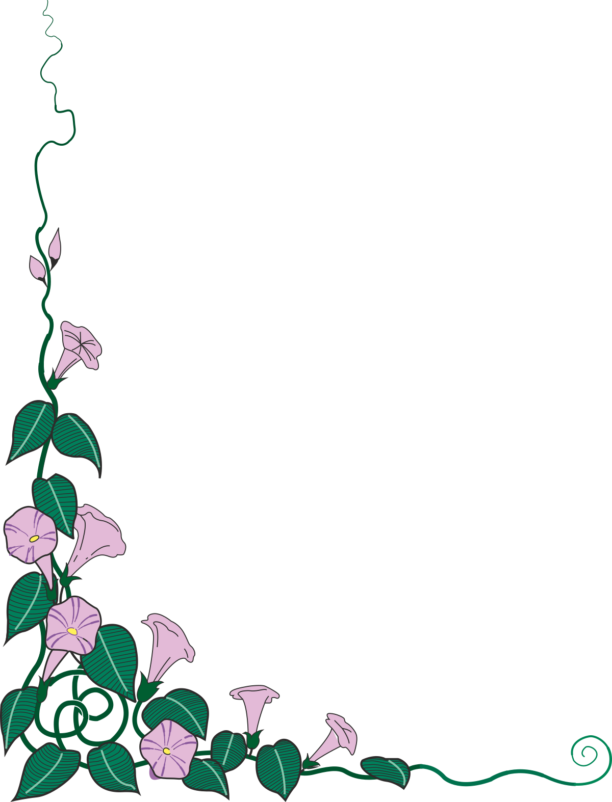 a green vine with pink flowers on a black background clip art png transparent Borders of Morning Glories: Elegant Green Vines with Pink Flowers Clipart