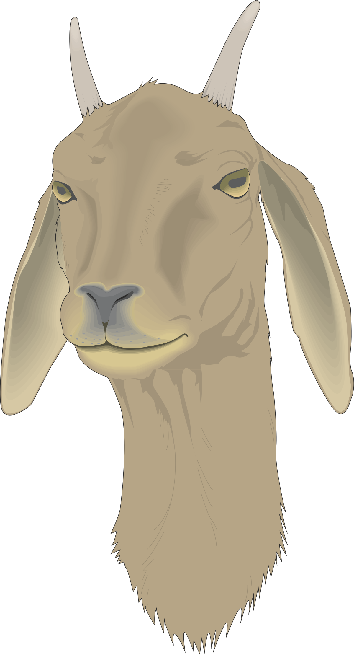 Goat Clipart with Horns: Perfect for Rustic Themes
