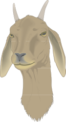 Goat Clipart with Horns: Perfect for Rustic Themes