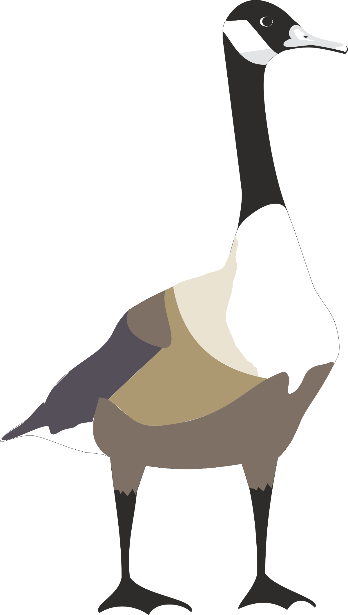 Duck Standing on Black Background - Unique Clipart for Your Projects