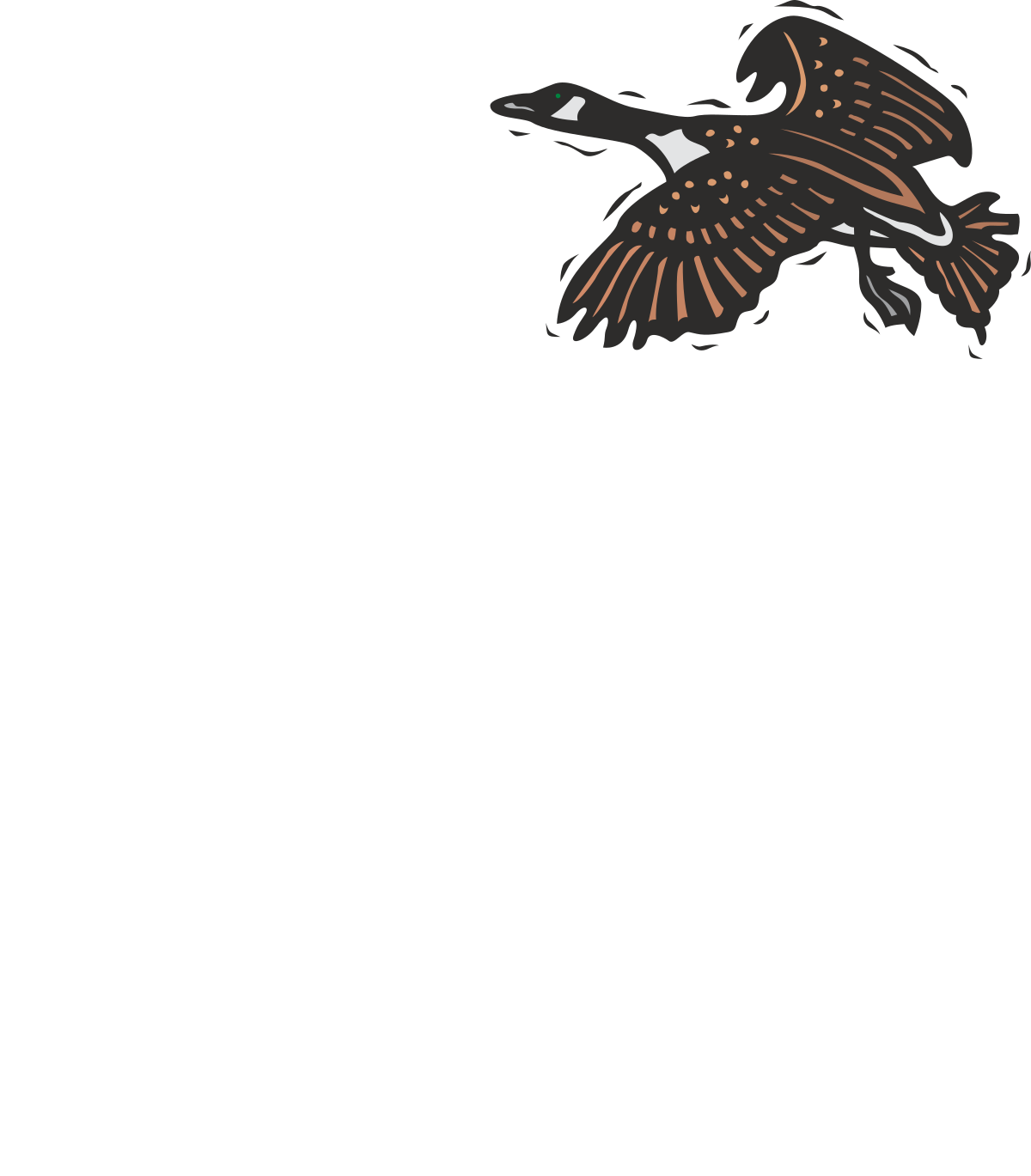 Bird Flying in the Sky - Stunning Black Background Clipart