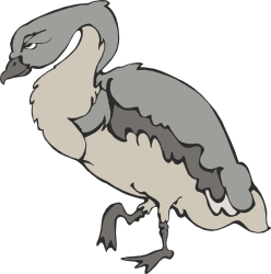 Long Beak Bird Clipart: Elegant Avian Illustrations