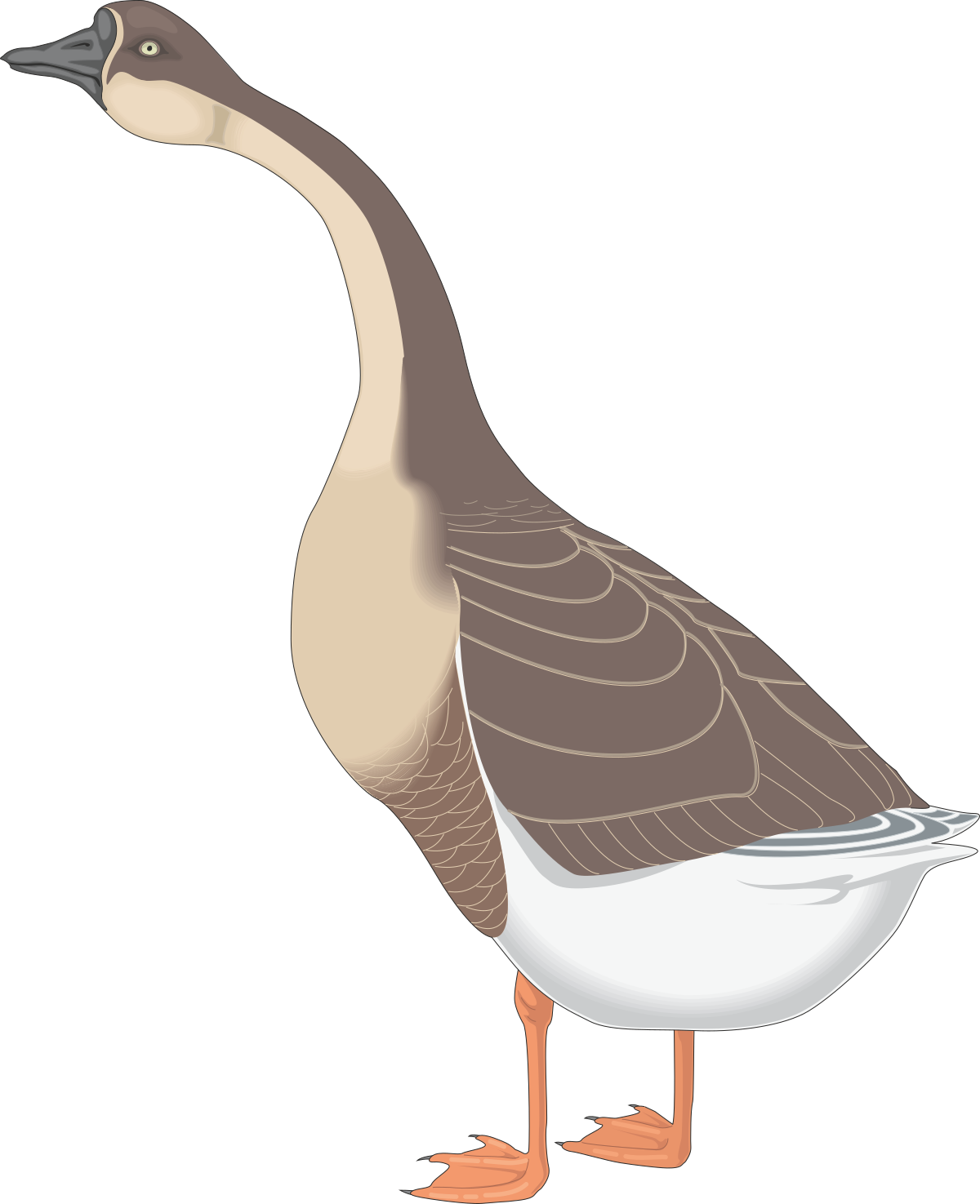 Goose Clipart: Elegant and Playful Geese Illustrations for All Uses