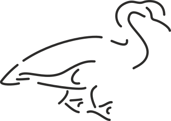 Black and White Bird Clipart - Elegant Avian Illustrations