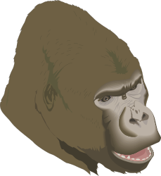 Gorilla Head Clipart with Big Smile for Fun Projects