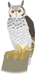 Owl on Box Clipart - Adorable Wildlife Illustration