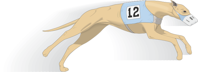 Dog with Blue Collar and Number 12 - Playful Clipart Illustration