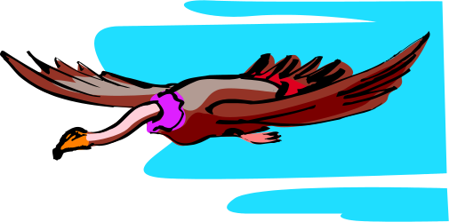 Bird Flying in the Air with Wings Spread - Exquisite Clipart Collection
