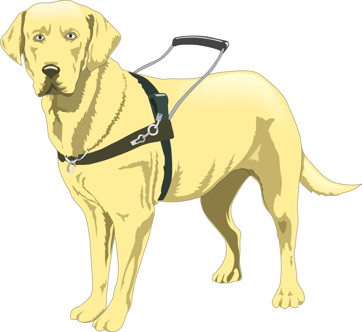 a yellow labrador dog with a harness clip art png transparent Yellow Labrador Dog with Harness Clipart for Fun and Friendly Designs