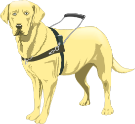 Yellow Labrador Dog with Harness Clipart for Fun and Friendly Designs