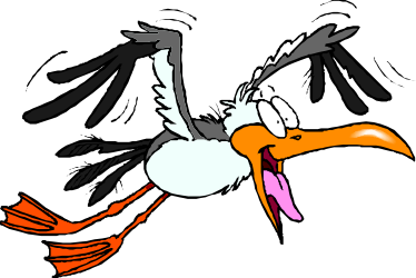 Bird with Spread Wings Clipart for Nature and Wildlife Themes