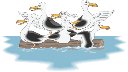 Ducks on a Rock in Water Clipart: Charming Water Scene
