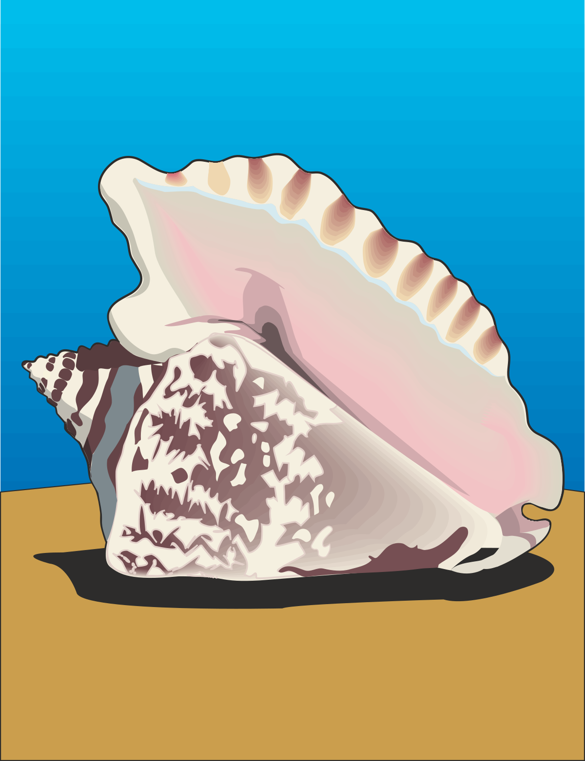 a seashell on a sandy beach clip art png transparent Seashell on Sandy Beach Clipart - Perfect Coastal Illustration