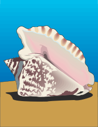 Seashell on Sandy Beach Clipart - Perfect Coastal Illustration