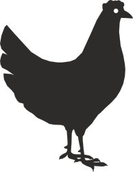 Black Chicken Silhouette on White Background Clipart