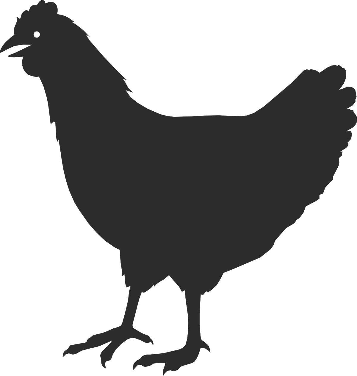 Black Chicken Silhouette on Black Background - Perfect for Creative Projects