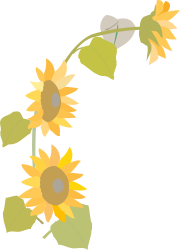 Sunflower Clipart: Vibrant Bunch with Lush Green Leaves