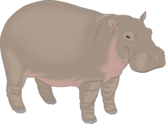 Hippog Clipart: Unique and Playful Hippog Illustrations for Every Project