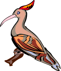 Red Beak Bird Clipart: Vibrant Orange Beak Illustration