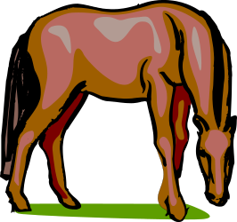 Horse Grazing on a Green Field - Captivating Clipart Illustration