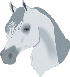 White Horse Head on Black Background Clipart