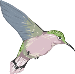 Hummingbird Clipart: Vibrant and Dynamic Hummingbirds in Action