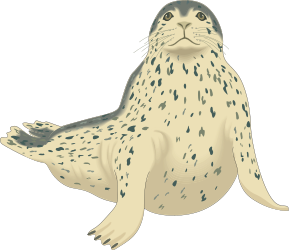 Seal with Paws Up Clipart - Cute and Playful Sea Life