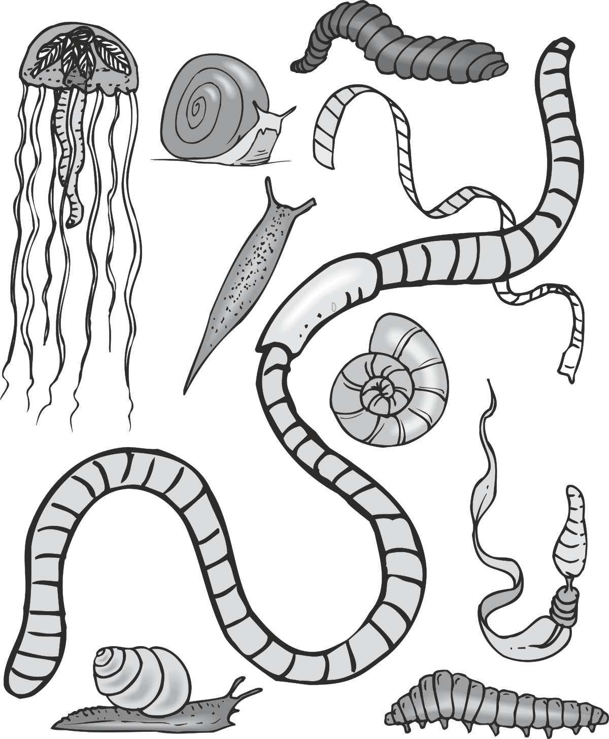 Snake Clipart: Detailed Long Tail Illustration for Your Projects