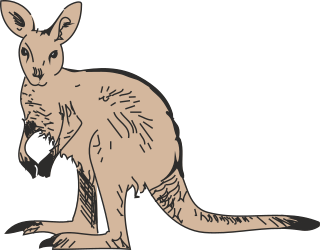 Kangaroo Clipart on Black Background - Unique SVG Designs