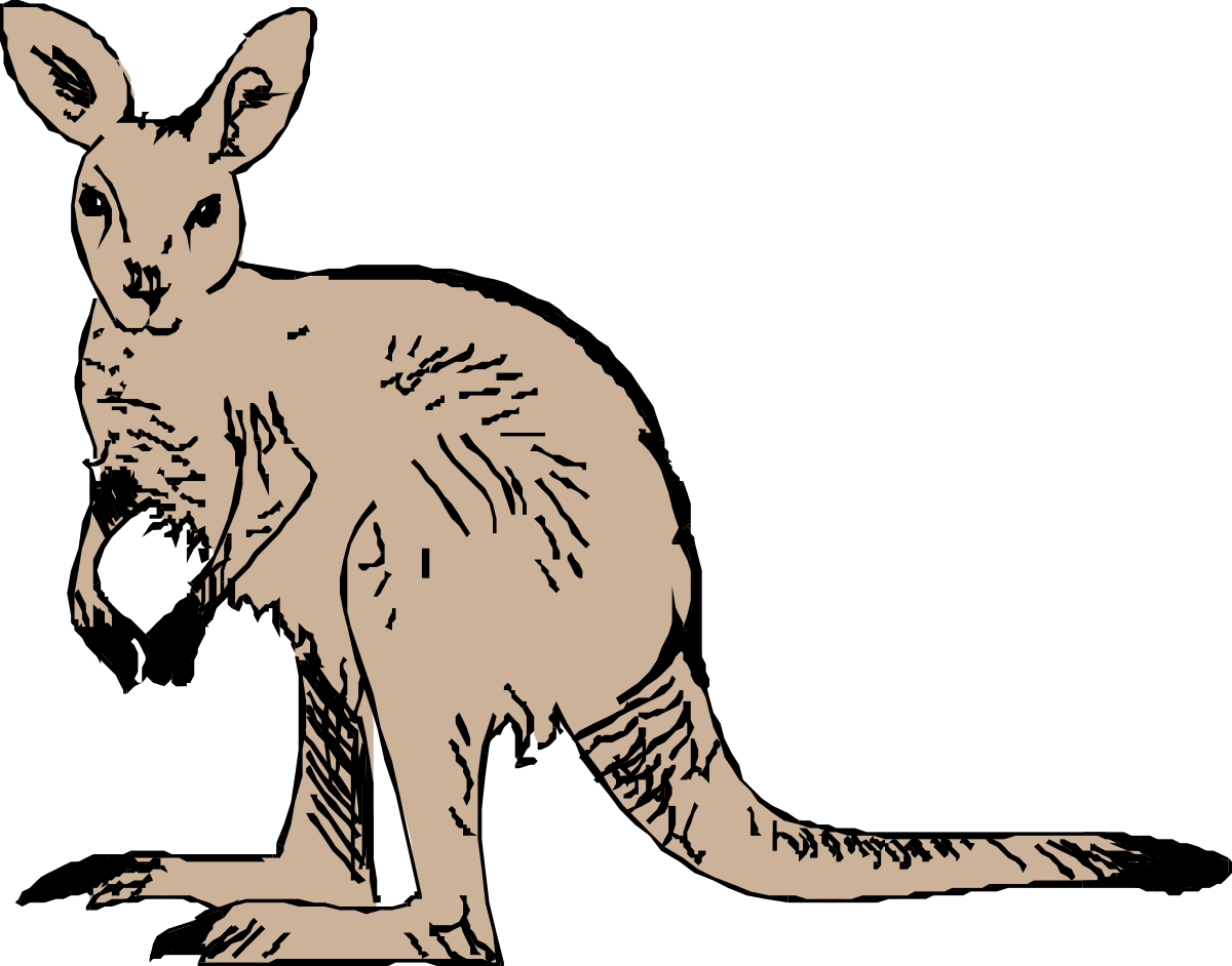 Kangaroo Clipart on Black Background - Vibrant and Eye-Catching