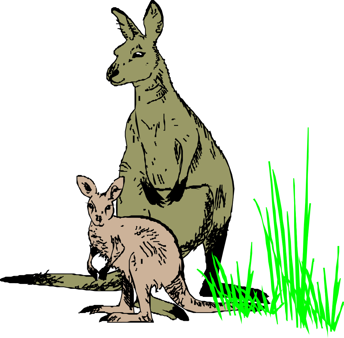Kangaroo and Cat Sitting Together Clipart