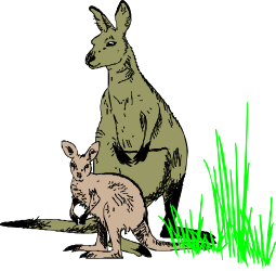 Kangaroo and Cat Sitting Together Clipart