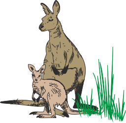 Kangaroo and Kangaroo Cub Clipart - Playful Wildlife Graphics