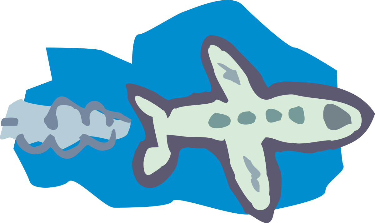 Airplane Illustrations: Flying High with Two Smaller Planes