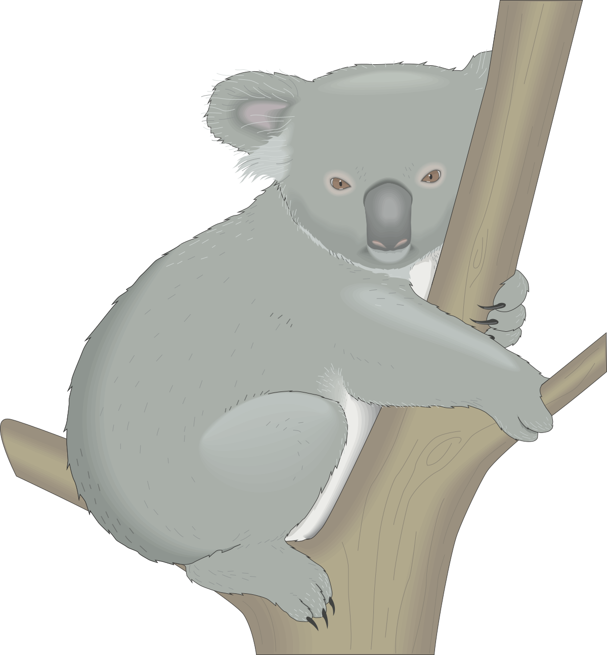 kolos clipart kolos clipart kolos clipart clip art png transparent Kolos Clipart: Unique and Versatile Graphics for Every Project